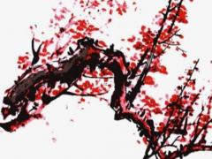 八字里經弱是什么意思 八字帶經濟什么意思