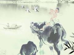 屬馬適合什么屬相 屬馬和屬虎的合得來嗎