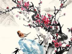 屬蛇77年幸運數字 77年屬蛇的幸運數字