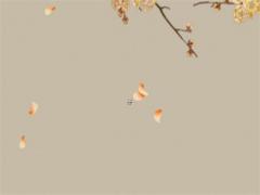 八字中胎命是什么意思 胎命格是什么意思