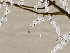 屬兔的人今年佩戴什么吊墜 屬兔的戴什么吊墜合適