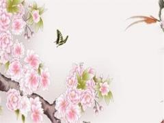 婚姻怎樣經(jīng)營會越來越好的說說 婚姻如何經(jīng)營才不會累