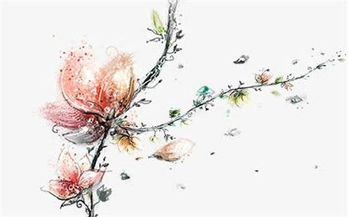 屬虎的男人適合住什么樓層的房子,屬虎男住什么樓層最佳 屬虎的男人適合住什么樓層的房子,屬虎男住什么樓層最佳