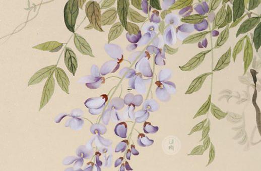 獅子男一眼就喜歡的女人 獅子男看上的女人 獅子男一眼就喜歡的女人 獅子男看上的女人