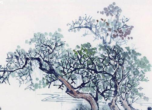 客廳養什么花最吉利也招財 客廳養什么花和植物旺風水 客廳養什么花最吉利也招財 客廳養什么花和植物旺風水