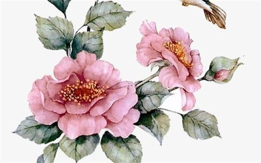 算命說長生命什么意思 命理 算命說長生命什么意思 命理