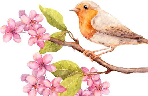 八字命理斷財教程之一 八字斷財運的預測技巧 八字命理斷財教程之一 八字斷財運的預測技巧