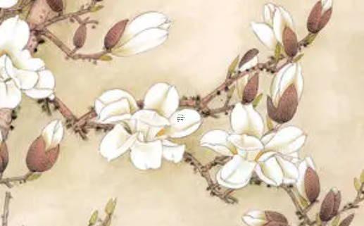 琴行開業(yè)主持人開場白臺詞怎么寫 琴行開業(yè)儀式流程 琴行開業(yè)主持人開場白臺詞怎么寫 琴行開業(yè)儀式流程