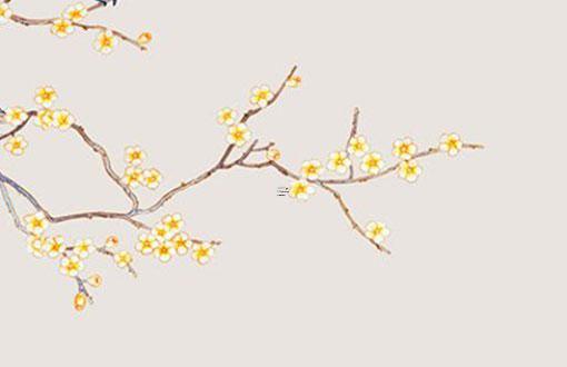 兩個98年的虎合不合 一家有二虎好不好 兩個98年的虎合不合 一家有二虎好不好