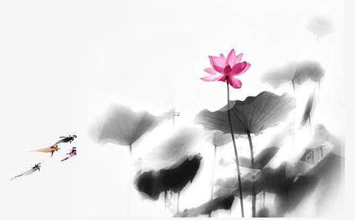 拓跋姓歷史名人 拓跋姓氏起源 拓跋姓歷史名人 拓跋姓氏起源