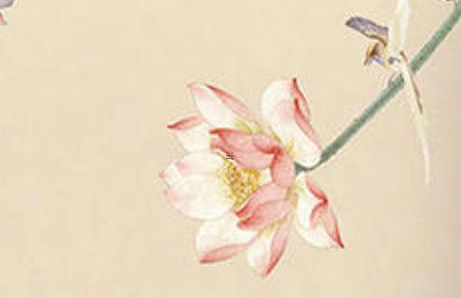 倒八字眉的男人命運 倒八字眉毛的男人怎么樣 倒八字眉的男人命運 倒八字眉毛的男人怎么樣