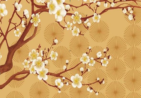 有誰學的是胡一鳴八字命 風水 有誰學的是胡一鳴八字命 風水