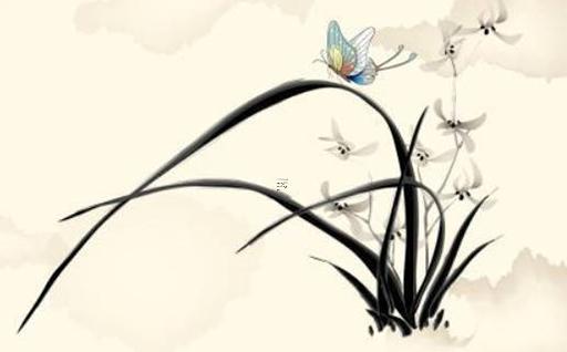 本命年兔需要戴什么9999的,兔本命年戴什么首飾好