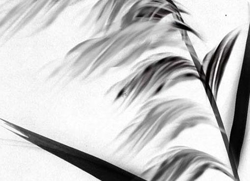 雙魚座代表著什么顏色 雙魚座的顏色和幸運數(shù)字是什么 雙魚座代表著什么顏色 雙魚座的顏色和幸運數(shù)字是什么