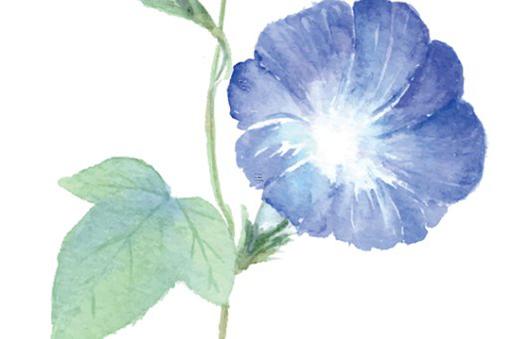 destiny八字算命 destiny算命網 destiny八字算命 destiny算命網