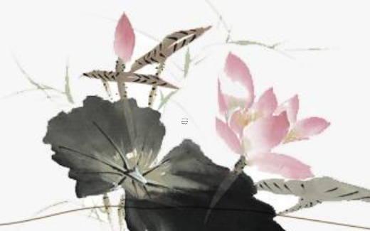 八字胡須動(dòng)物是什么生肖 八字胡是什么樣的 八字胡須動(dòng)物是什么生肖 八字胡是什么樣的