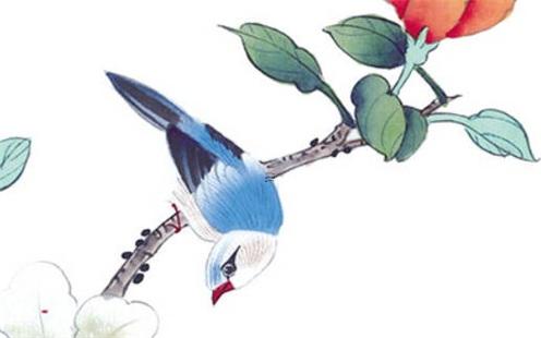 算命寶寶破婚是什么意思 寶寶破相是不是劫 算命寶寶破婚是什么意思 寶寶破相是不是劫