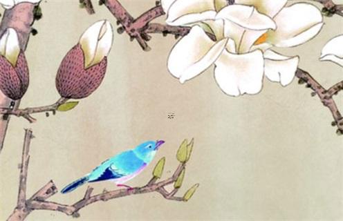 狗是哪年出生的幾歲 狗是哪一年出生的幾歲 狗是哪年出生的幾歲 狗是哪一年出生的幾歲