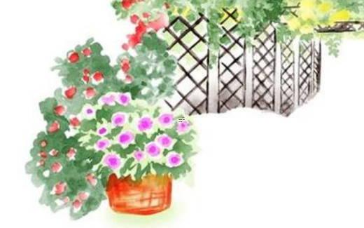 屬猴女子的婚姻與命運 屬猴女人婚姻