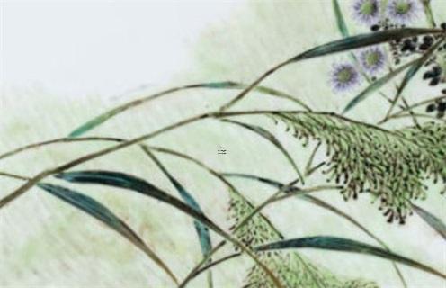 算命的算我會(huì)和老公離婚 算命的說(shuō)夫妻會(huì)離婚