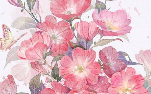 屬馬的女人命好嗎婚姻好嗎 屬馬的女人是不是命不好 屬馬的女人命好嗎婚姻好嗎 屬馬的女人是不是命不好