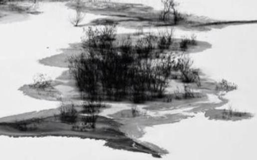 1999年正月十八屬什么,1999年正月十八陽歷是多少 1999年正月十八屬什么,1999年正月十八陽歷是多少