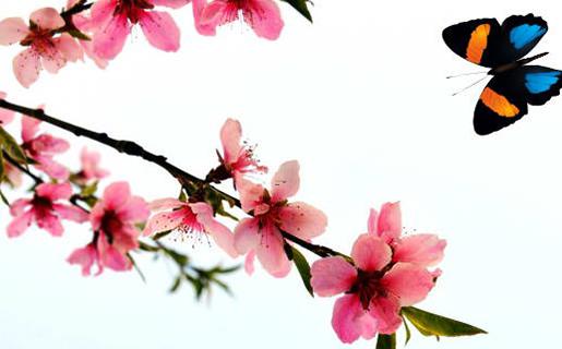 溫姓好聽的名字 溫姓好聽的名字