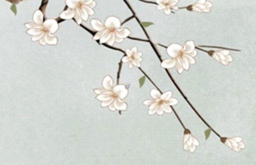 屬虎和屬雞的合不合財運和財運 屬虎和屬雞的人在一起合不合財