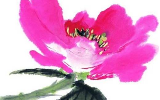 八字算命中的黨眾是什么意思 八字同黨異黨的比例 八字算命中的黨眾是什么意思 八字同黨異黨的比例