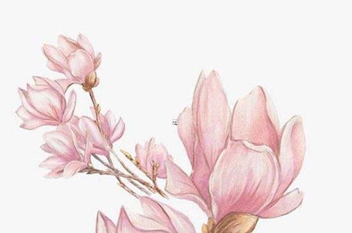 今年屬蛇財運和運氣如何,今年屬蛇財運怎么樣