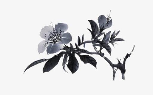 2007年屬豬的男孩,2007年屬豬的男孩名字最佳的