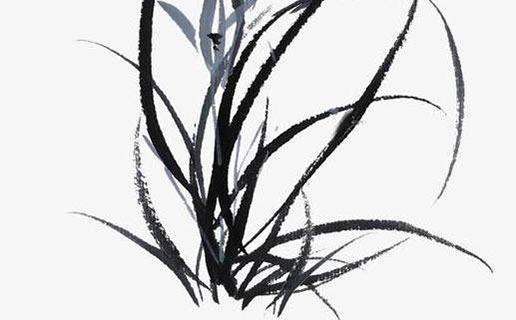 90年馬和97年牛婚配 90年馬和97年牛屬相合不合 90年馬和97年牛婚配 90年馬和97年牛屬相合不合