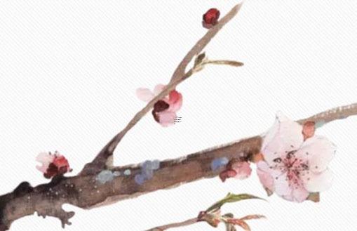 給人一種自信心與力量的個(gè)性網(wǎng)名,仰望天空39說不哭 給人一種自信心與力量的個(gè)性網(wǎng)名,仰望天空39說不哭