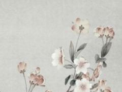 一個人命運一般的意思 一個人的命運真的是命中注定好了么