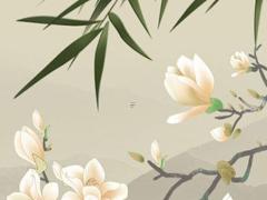 日支看配偶的財力 日支看配偶準嗎