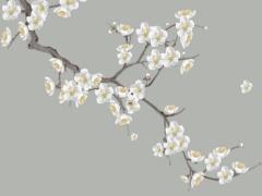 八字命盤婚姻宮在哪 八字里面婚姻宮看哪個位置