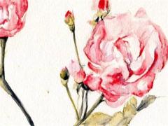 晚上7點至9點的八字好嗎 晚上7點到9點是什么時辰對五行