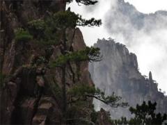 瓷都算命的孤獨運是什么意思 算命孤獨命