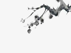 婚配中屬相禁忌 婚姻的屬相配對禁忌