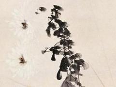 八字食傷星代表身體 八字食傷是什么意思