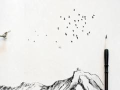 87屬兔終身幸運顏色,1987屬兔終身幸運顏色