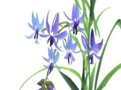 什么八字是小公主的命運 古代公主八字