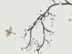屬兔人本命年種什么花好呢女,屬兔人的本命花