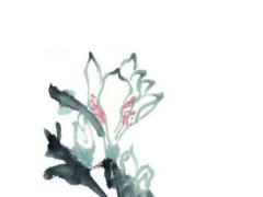 曾國藩的八字命格 曾國藩八字格言精選