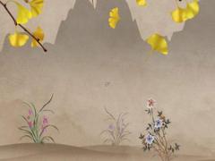 姓名是一門生活百科全書 姓名的概念