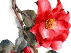 屬蛇的婚姻最佳配對 屬蛇男的婚姻配對最佳