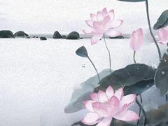 八字五行土弱吃什么 五行土弱的女人的婚姻