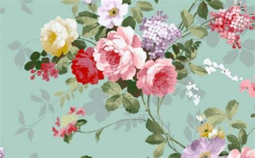 1999年2月兔是什么命,1999年2月的兔 1999年2月兔是什么命,1999年2月的兔