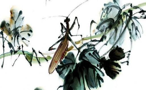 含八字尾的電源線 8字頭電源線規格