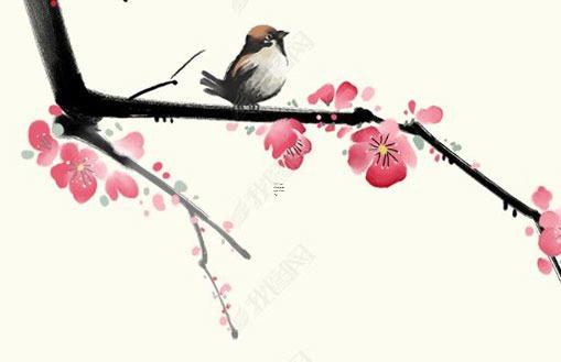 屬兔本命年女人的忌諱有哪些屬相,女兔本命年應該戴什么 屬兔本命年女人的忌諱有哪些屬相,女兔本命年應該戴什么